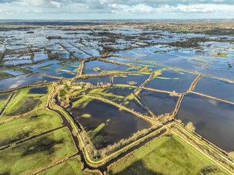 Iconographie - Le marais inondé