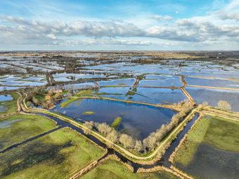 Iconographie - Le marais inondé