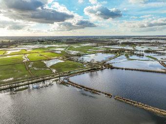 Iconographie - Le marais inondé