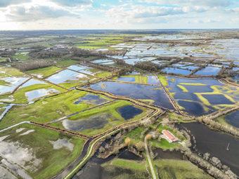 Iconographie - Le marais inondé
