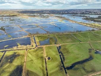 Iconographie - Le marais inondé