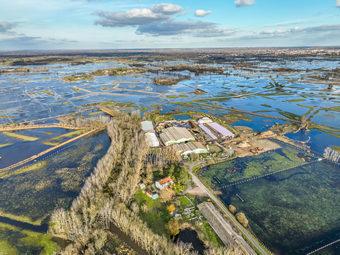 Iconographie - Le marais inondé