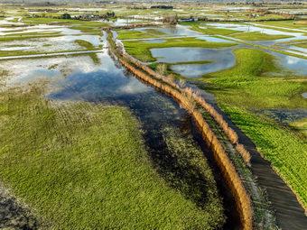 Iconographie - Le marais inondé