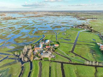 Iconographie - Le marais inondé
