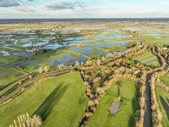 Iconographie - Le marais inondé