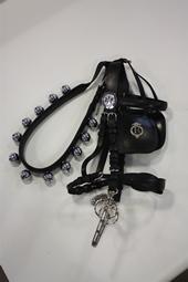 Iconographie - Epissure et harnais