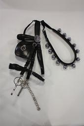 Iconographie - Epissure et harnais