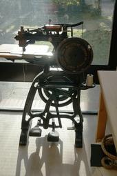 Iconographie - Oeillères