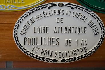 Iconographie - Médaille