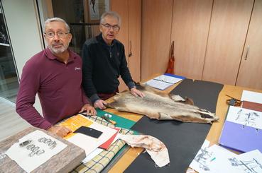 Iconographie - Oeillères