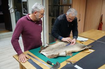 Iconographie - Oeillères