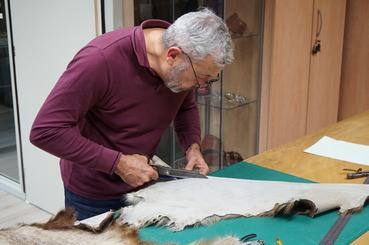 Iconographie - Oeillères