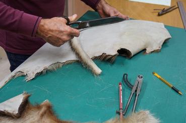 Iconographie - Oeillères