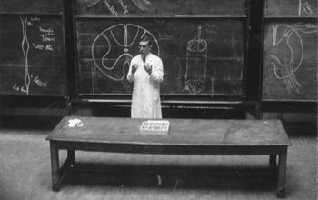 Iconographie - Ecole Nationale Vétérinaire d'Alfort