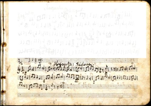 Partition - Myosotis : rédova