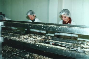 Iconographie - Conserverie Gendreau