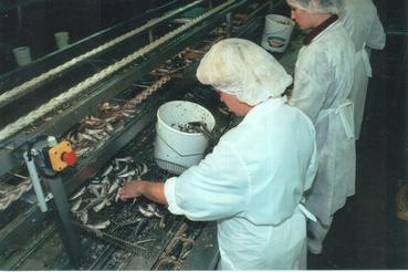 Iconographie - Conserverie Gendreau