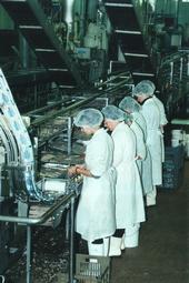 Iconographie - Conserverie Gendreau