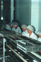 Iconographie - Conserverie Gendreau