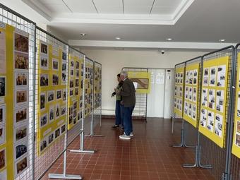 Iconographie - Fête des bouviers et des laboureurs de la Drôme