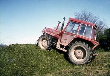 Iconographie - Ensilage