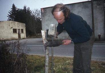 Iconographie - Arboriculture