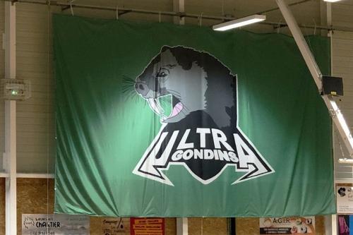 Iconographie - Bourg de Sallertaine. Fresques et sports