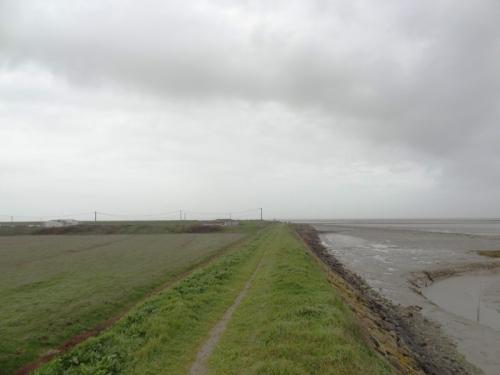 Iconographie - Port Louippe