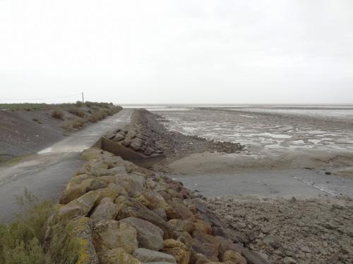 Iconographie - Port Louippe