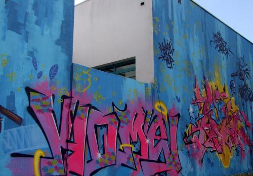 Iconographie - Graffitis - Chute libre Flash Players