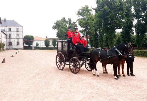 Iconographie - Démonstration au haras de Vendée