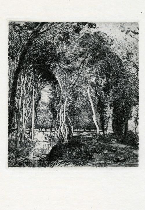 Iconographie - Sous-bois à La Rigonnette, selon Auguste Lepère