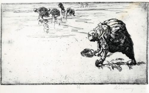 Iconographie - Pêcheuses de pignons, selon Auguste Lepère