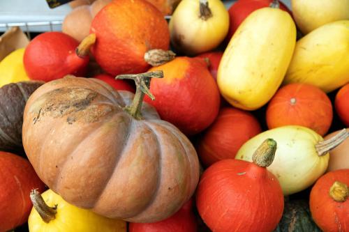 Iconographie - Les jardins de Corinne - Les courges