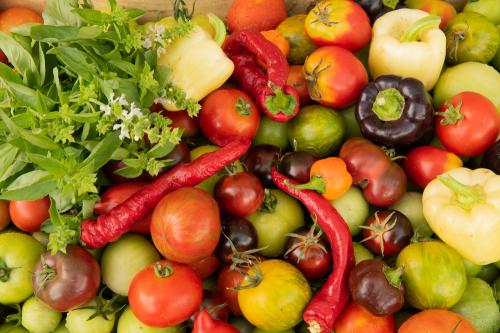 Iconographie - Les jardins de Corinne - Tomates piments et basilic