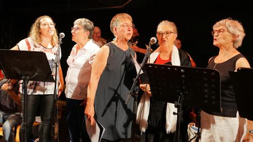 Iconographie - Le Big band trad de Vendée au festival de Bouche à oreilles, à Parthenay