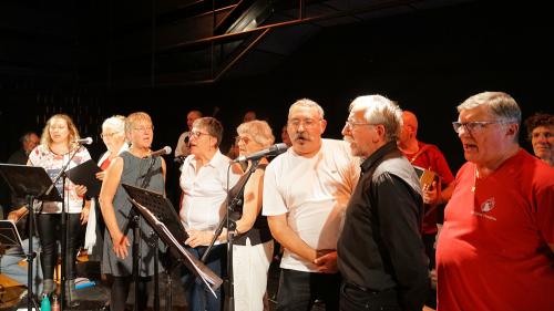 Iconographie - Le Big band trad de Vendée au festival de Bouche à oreilles, à Parthenay