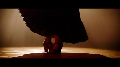 Iconographie - Danseuse du spectacle Fuego