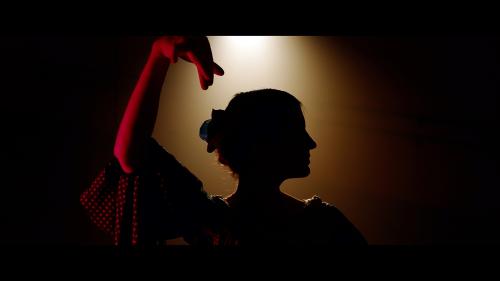 Iconographie - Danseuse du spectacle Fuego