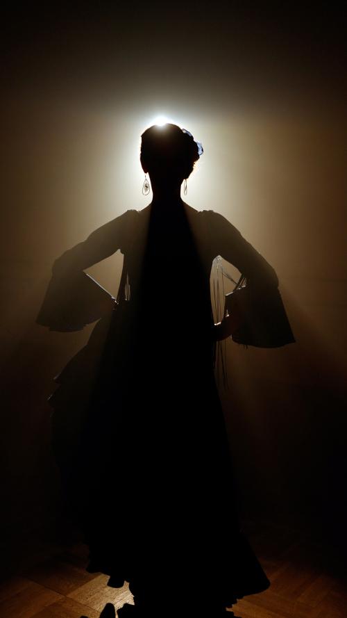 Iconographie - Danseuse du spectacle Fuego