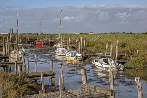 Iconographie - Port de La Louippe