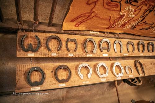 Iconographie - Musée du cheval et de l'amazone à La Grange d'Asson