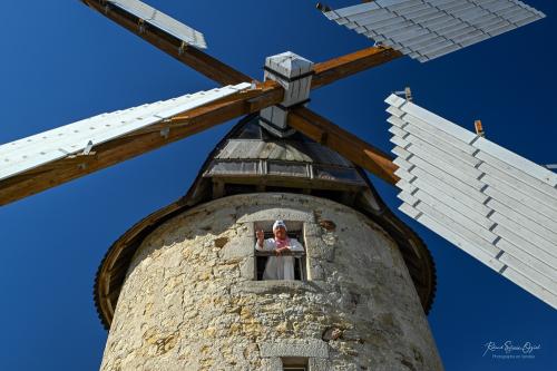 Iconographie - Les ailes du moulin Baron