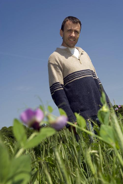 Iconographie - GAEC du Bois-Joly - Denis Grasset dans des céréales