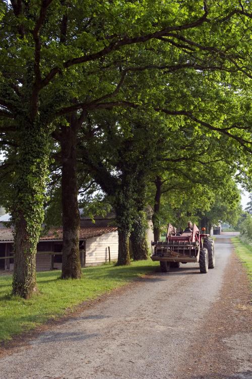 Iconographie - GAEC du Bois-Joly - Tracteur avec fourche