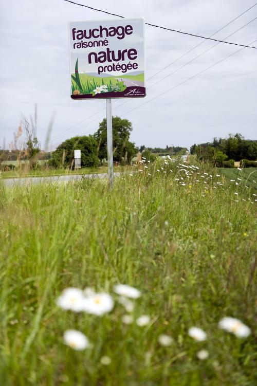 Iconographie - Panneau sur la D960 - Fauchage raisonné nature protégée