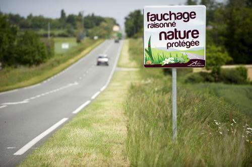 Iconographie - Panneau sur la D960 - Fauchage raisonné nature protégée