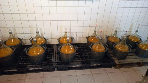 Iconographie - Bonbonnes d'hydromel de Marine Lyot