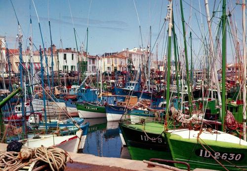 Iconographie - Port-Joinville et ses thoniers