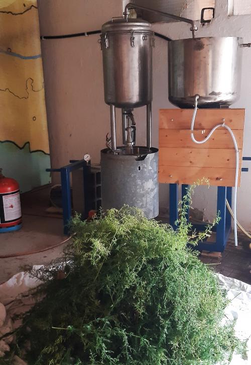 Iconographie - Distillation au Jardin de la Cure